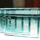Frost & Sullivan Leadership Award
