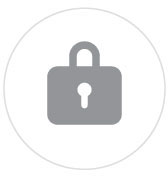 icon secure
