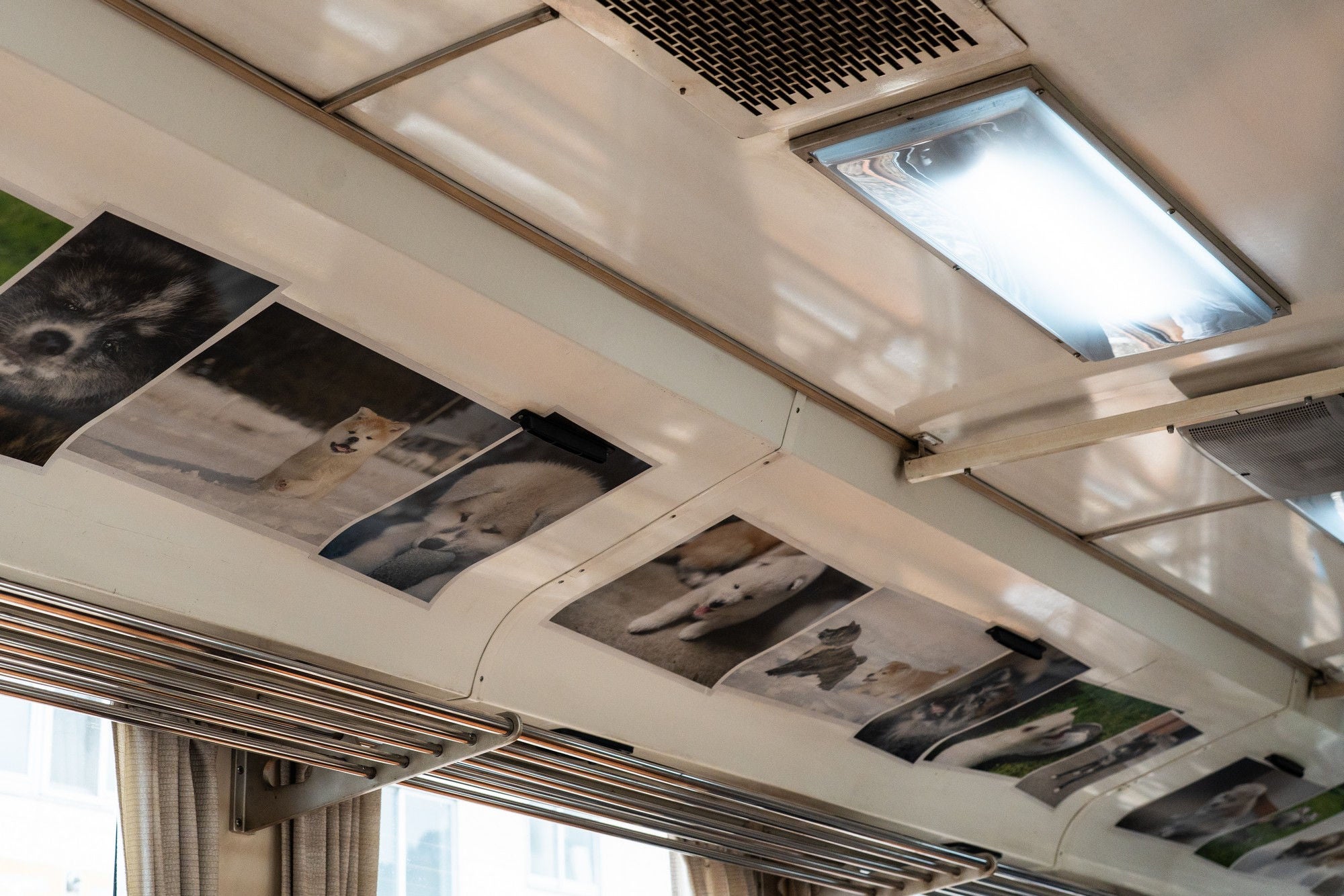 Pictures of Akita dogs line the interior of the Smile Train. 