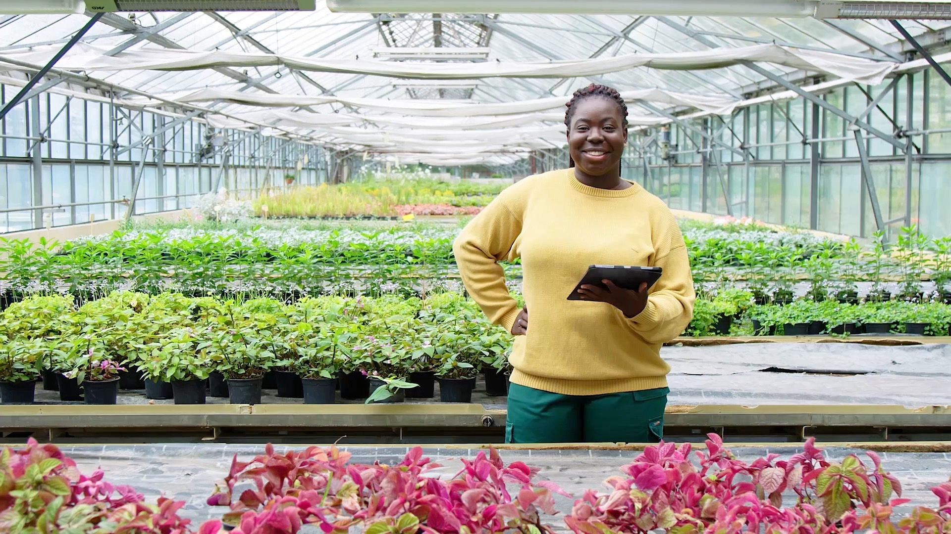A woman holds a tablet in a greenhouse and smiles. 