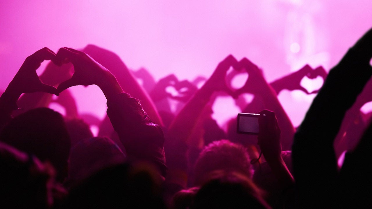 People at a music concert.