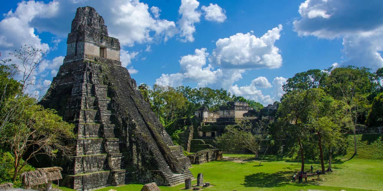 Aficionados disfrutando de un partido en un estadio.