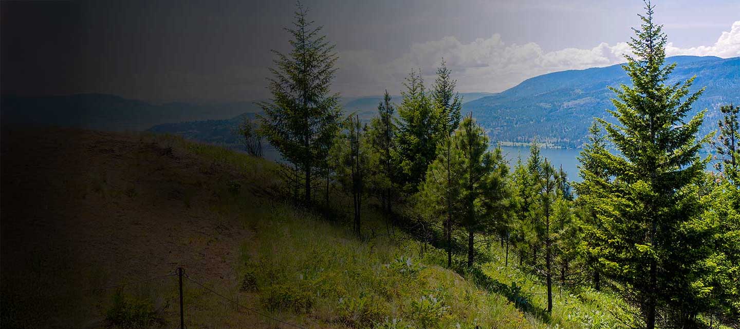Train trestle on the Kettle Valley Railway near Kelowna, British Columbia, Canada