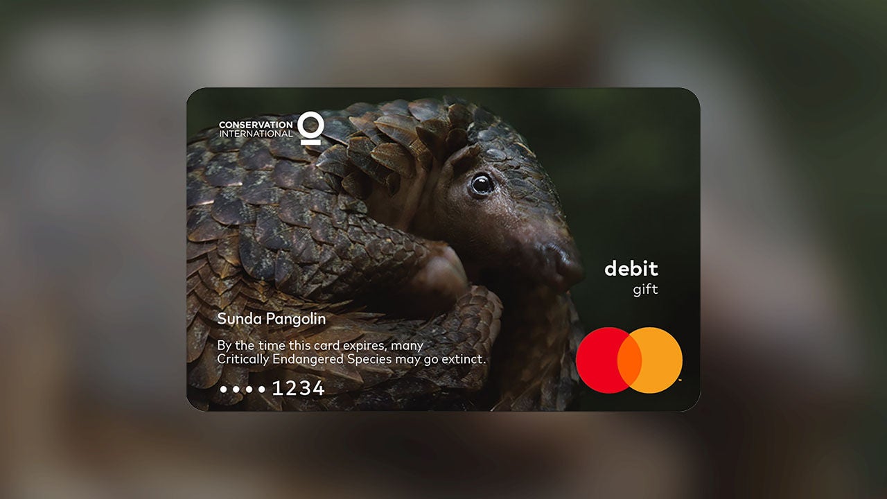 Sunda Pangolin Mastercard gift card.