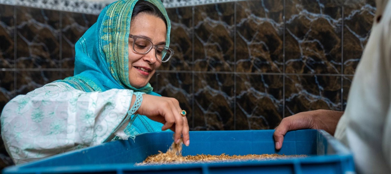 გუგლის ლოგო