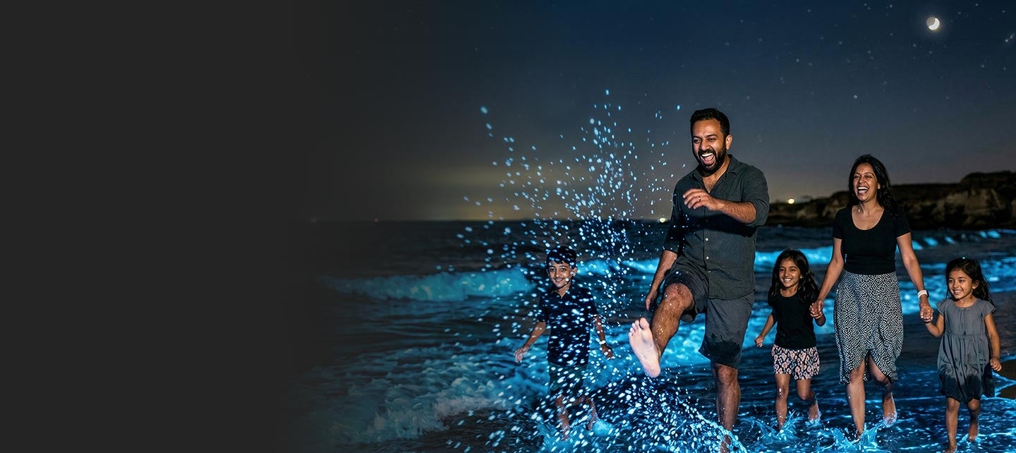 Family splashing in a water.