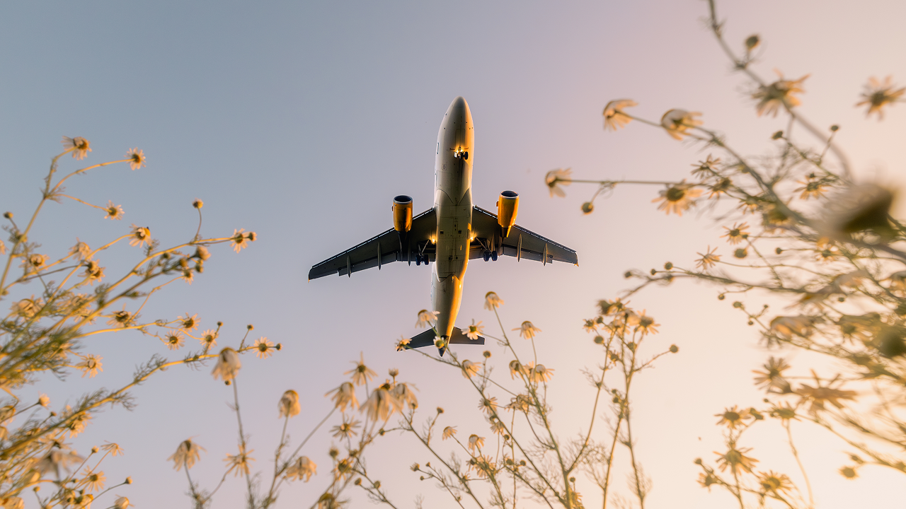 空を飛んでいる飛行機