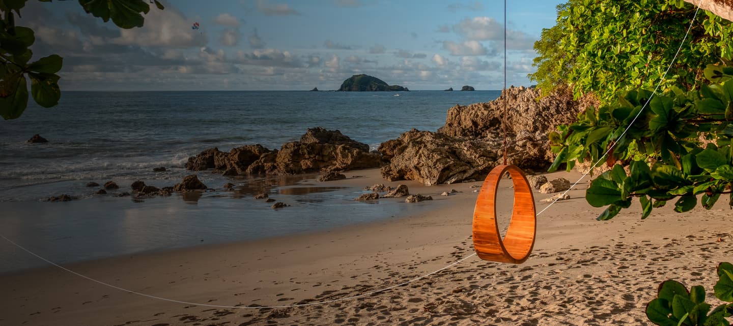 scenic tropical beach swing landscape