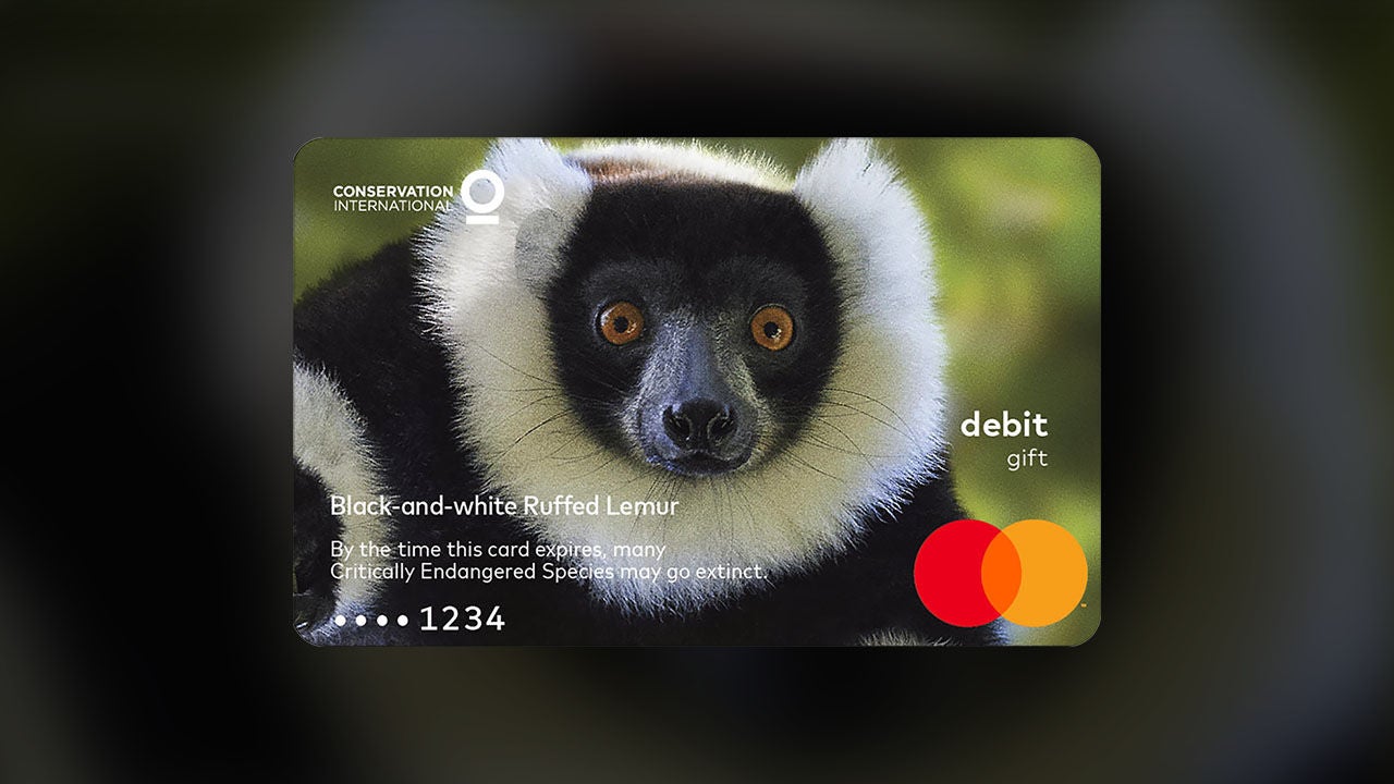 Black-and-White Ruffed Lemurs Mastercard gift card.