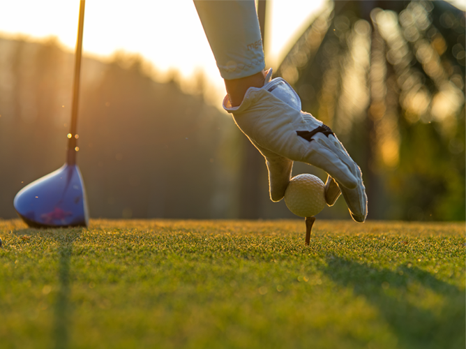 Close-up of a golfer's gloved hand placing a golf ball on a tee, with a blue golf driver in the background on a sunlit green golf course at golden hour.