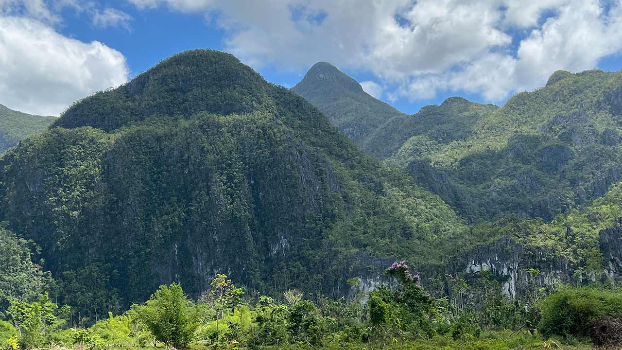 Belle vue sur les montagnes verdoyantes, Philippines.