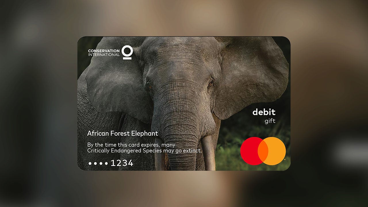 African Forest Elephant Mastercard gift card.