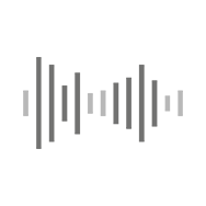 Mercedes Benz Voice Recording 