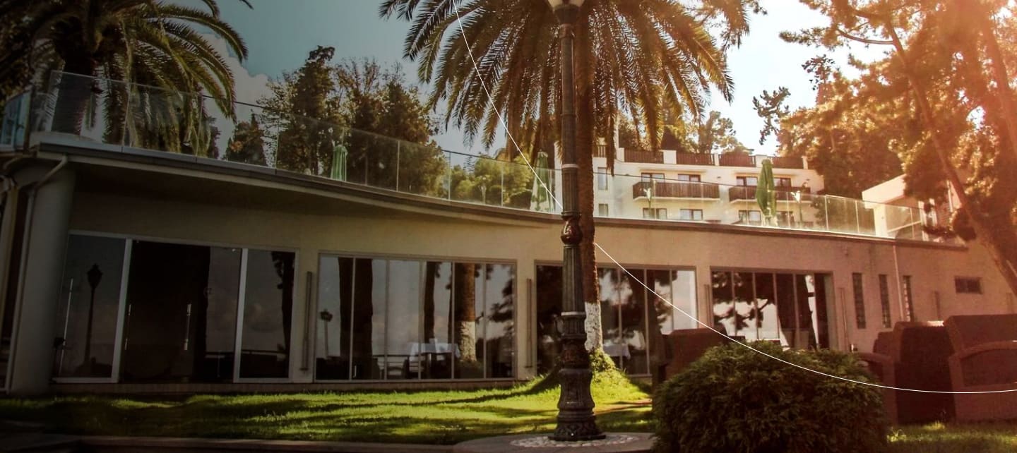 sunny palm trees exterior resort