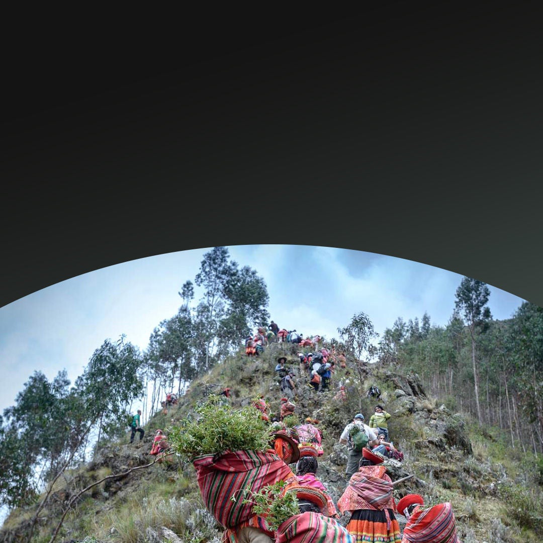 People carrying harvest up a hill