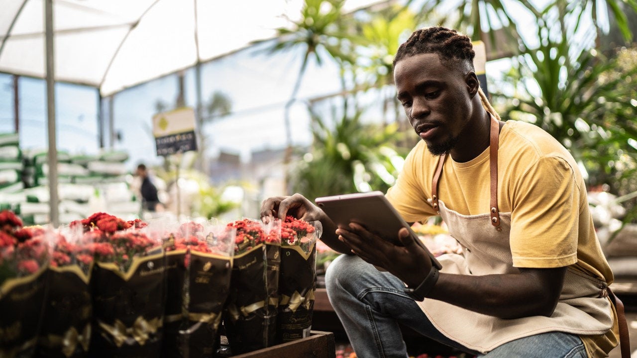 A man in an apron in a greenhouse looks at his tablet with a hand  on a plant. 