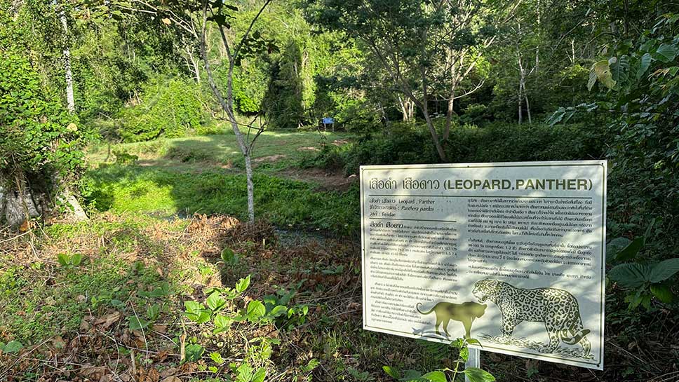 Thaïlande, parc national de Kaeng Krachan.