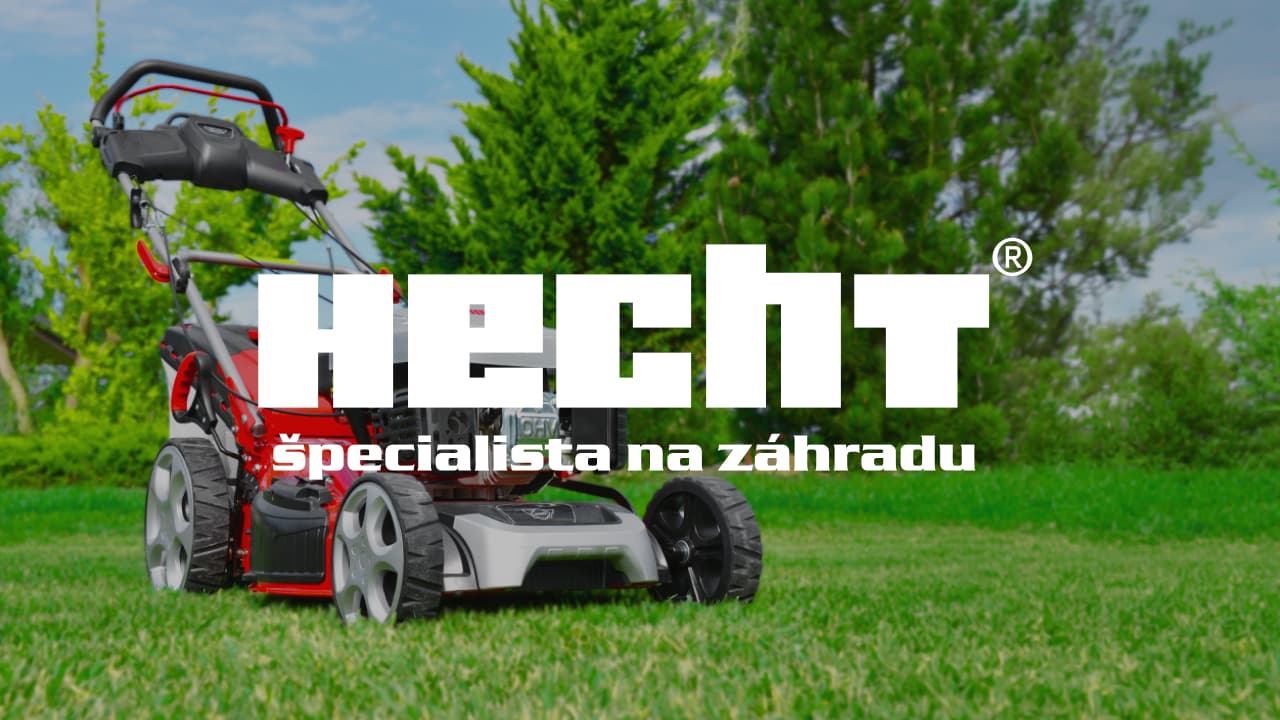 Hecht