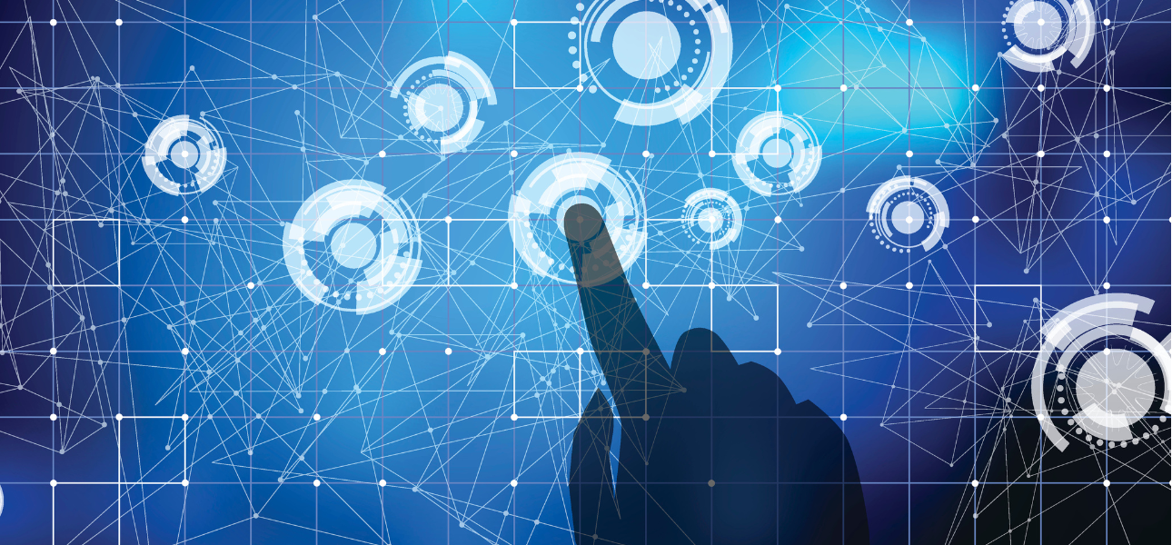 A woman tends to saplings in a Puerto Princesa tree restoration project in the Philippines. 