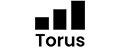torus