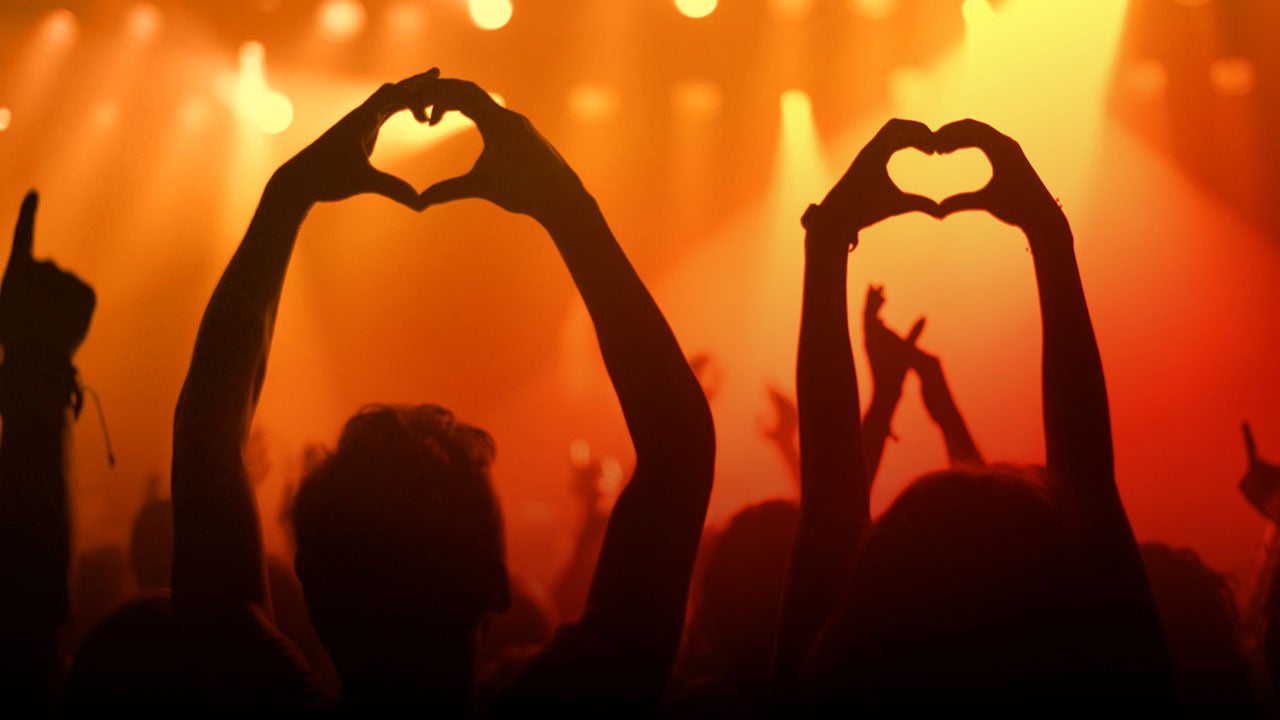 Fans at a concert. 