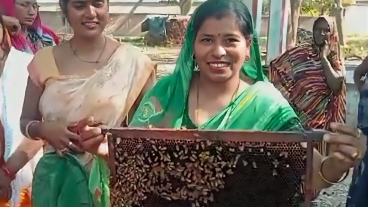 一位婦女手持蜂巢板，上面爬滿了蜜蜂。 