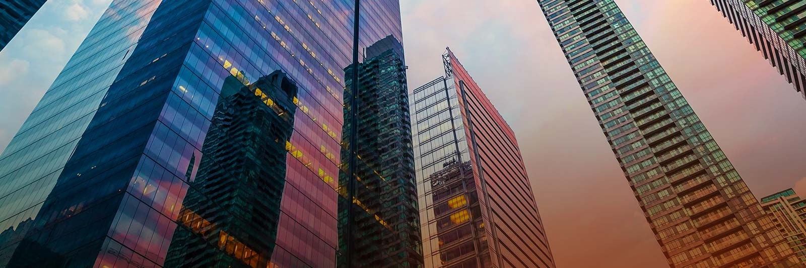 skyscraper in the city