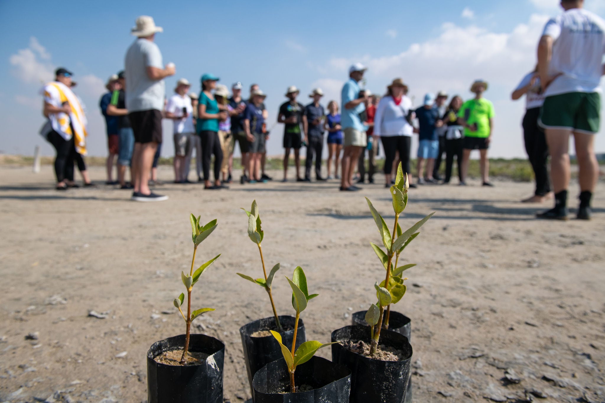 Логотип Google