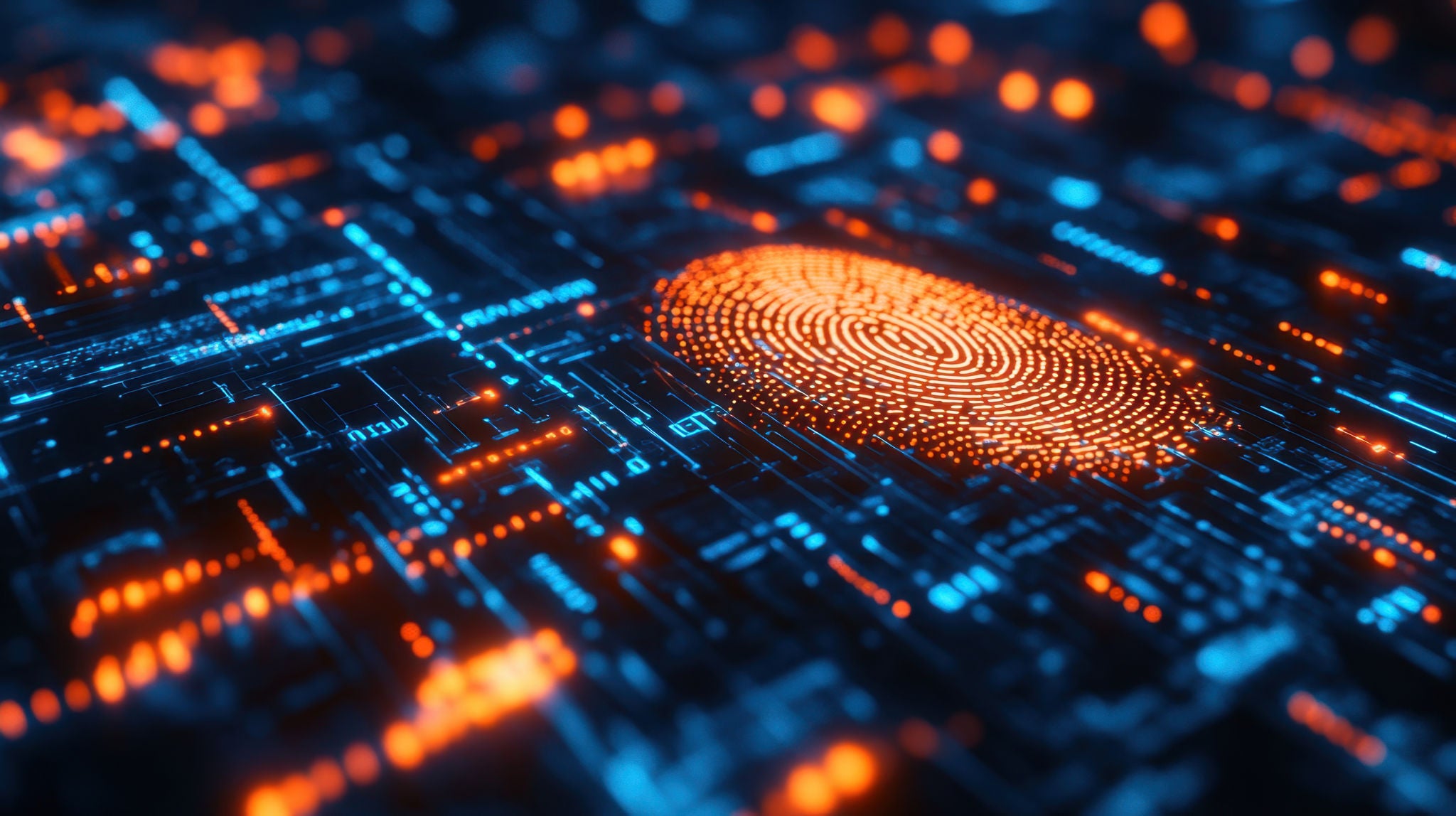 A woman tends to saplings in a Puerto Princesa tree restoration project in the Philippines. 