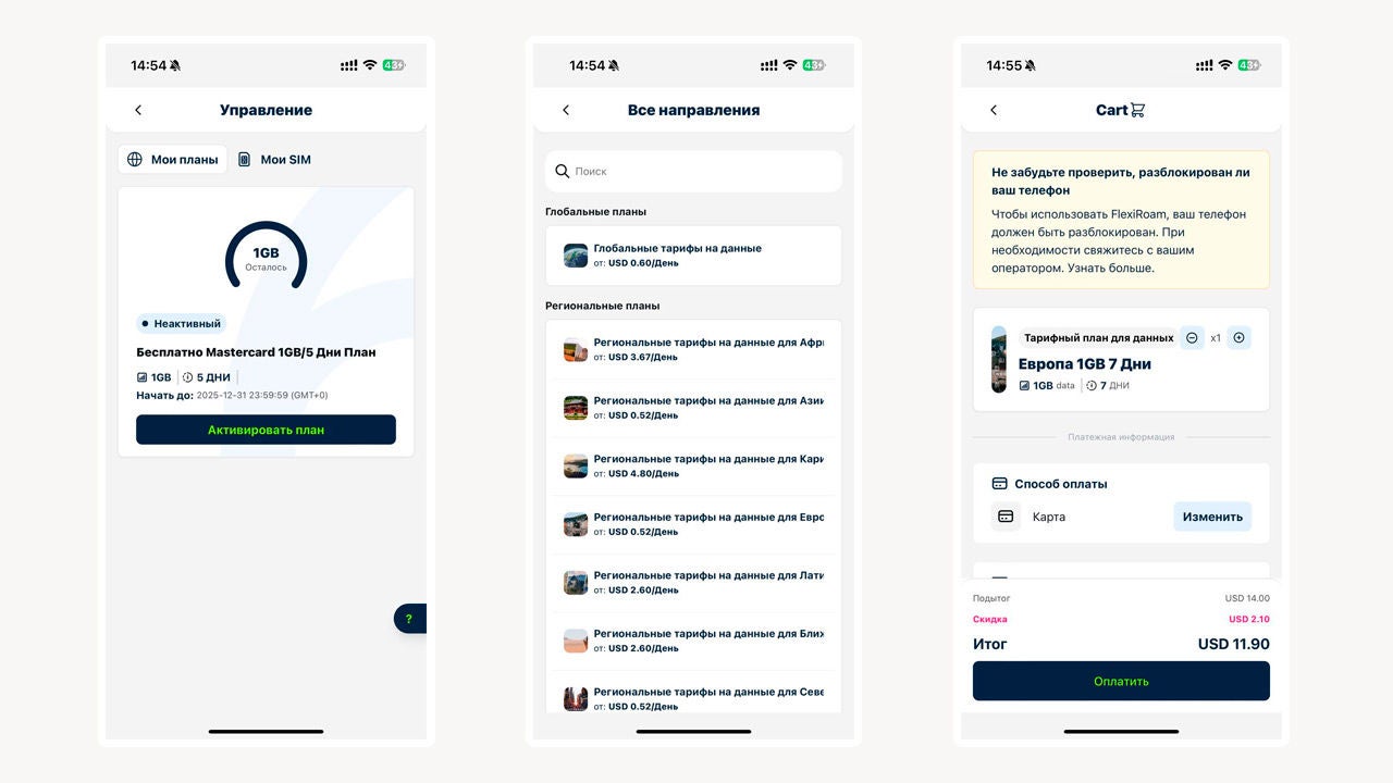 Процесс активации в приложении Flexiroam