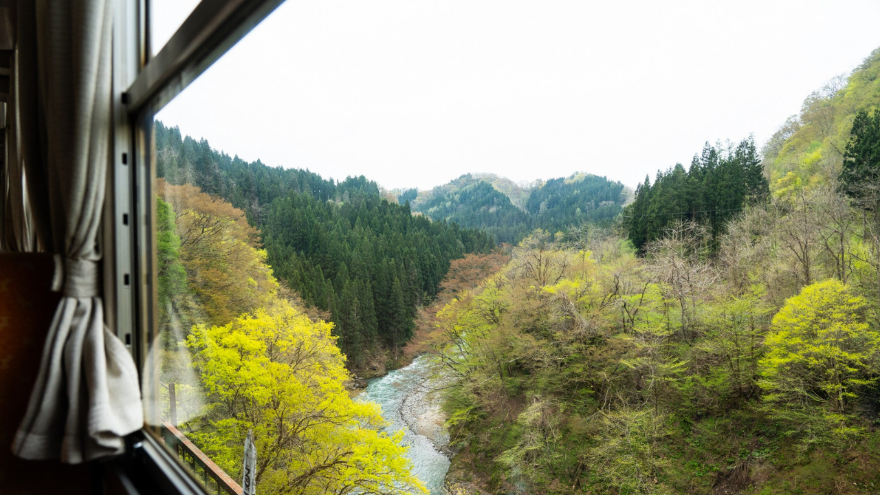 A view from the window of the Smile Train in northern Japan of a stream and trees with yellow and green leaves. 