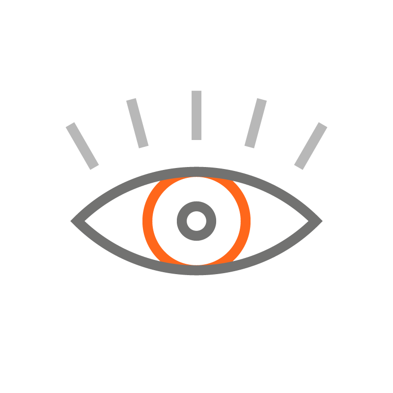 Icon for Flexible income views 