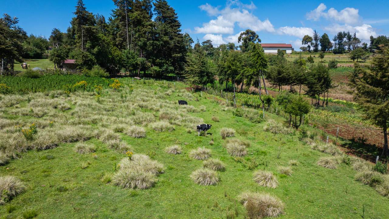 მზე ამოდის კენიის რიფტის ხეობაში სასოფლო-სამეურნეო მიწებზე. 