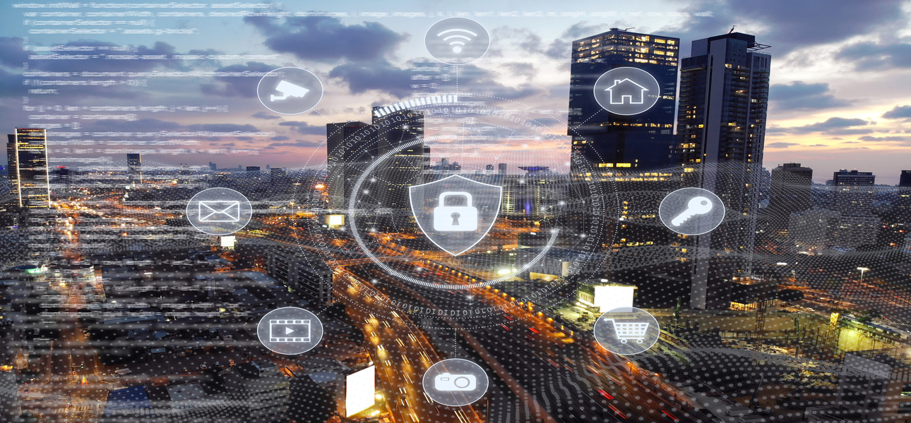 A woman tends to saplings in a Puerto Princesa tree restoration project in the Philippines. 