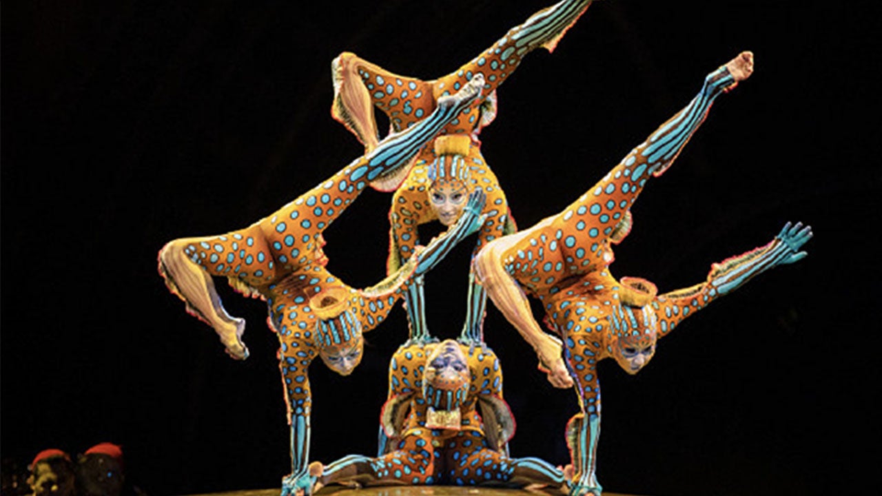 Cirque du Soleil performers.