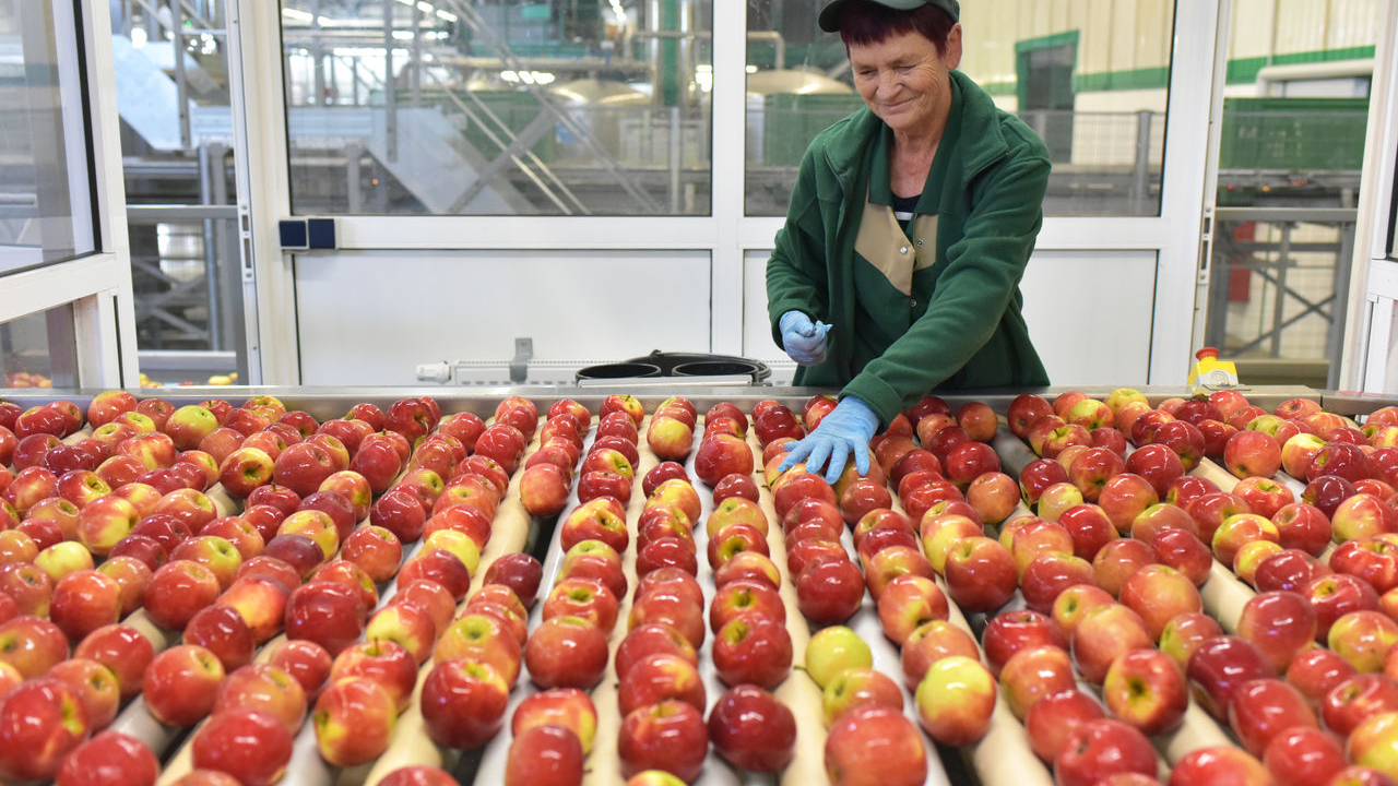 orange gradient circles