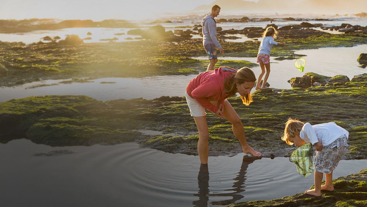 Family wading in tide pool