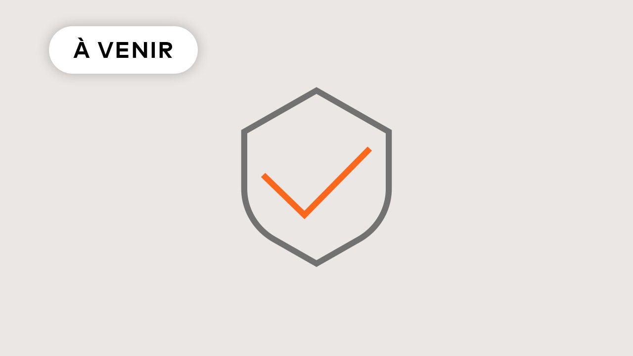 Security icon