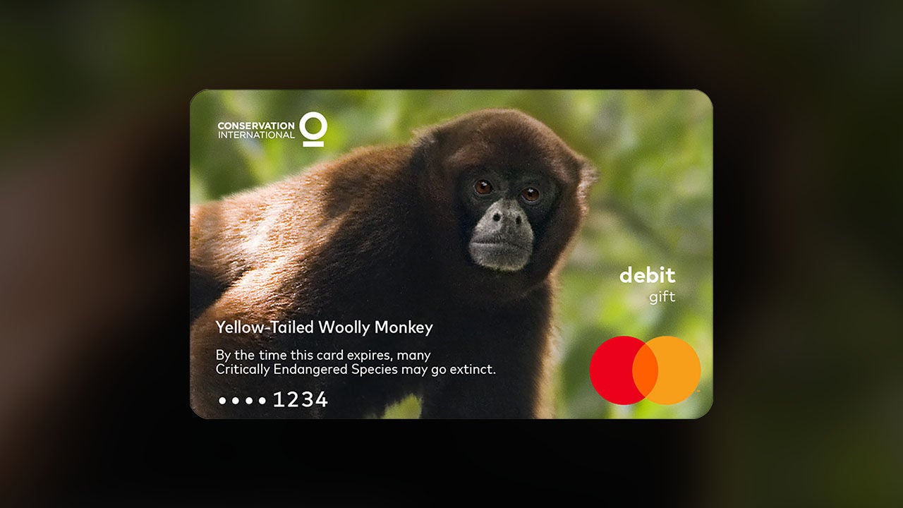 Yellow-Tailed Woolly Monkey Mastercard gift card.