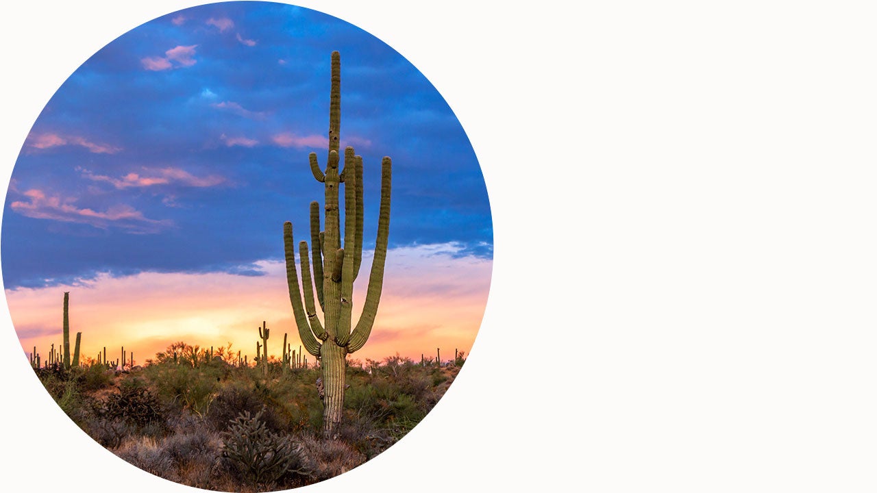 Lone saguaro cactus with vibrant sunset skies.