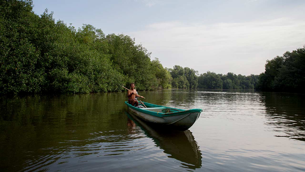 Zone de conservation, homme ramant dans une barque, Mexique