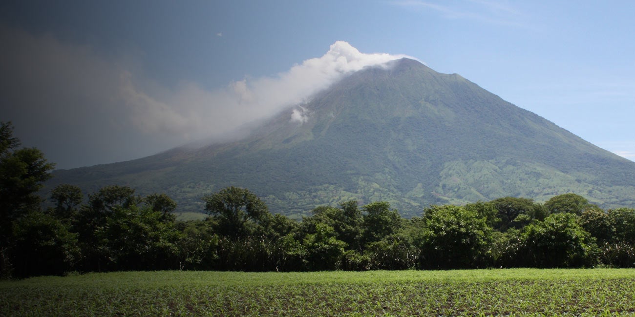 Aficionados disfrutando de un partido en un estadio.