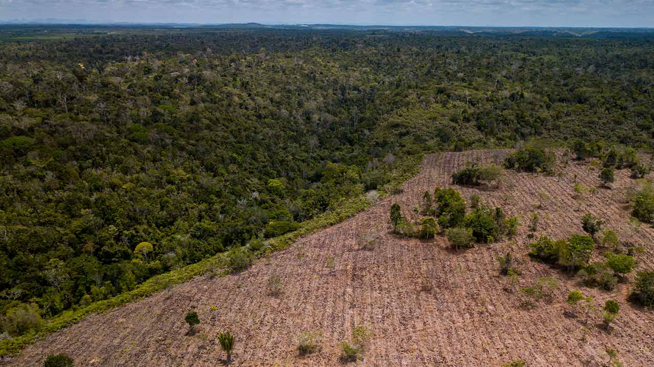 Abrolhos Land, Brésil.