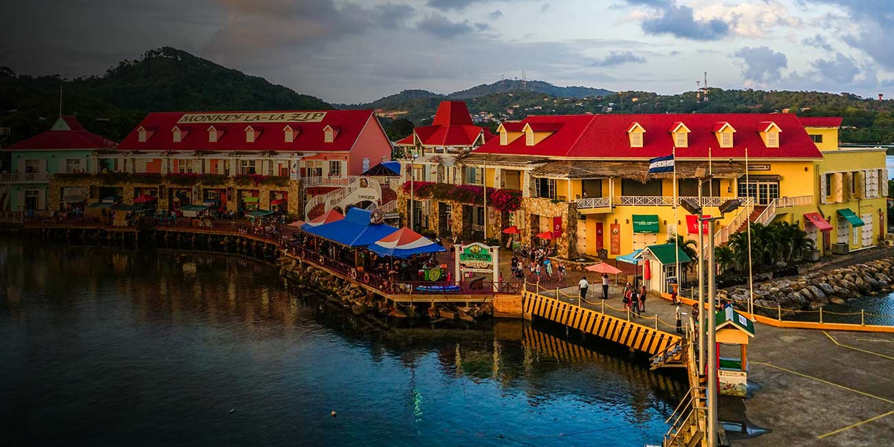 Aficionados disfrutando de un partido en un estadio.