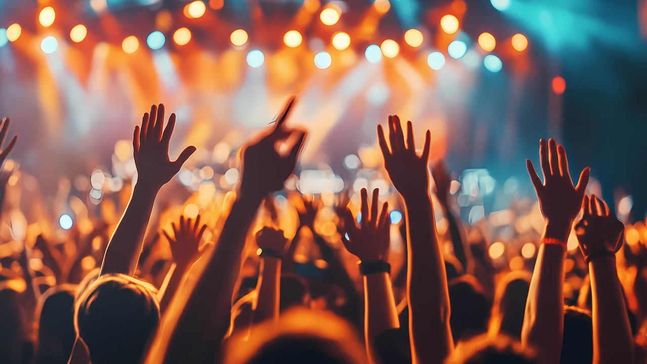 crowd enjoying a concert
