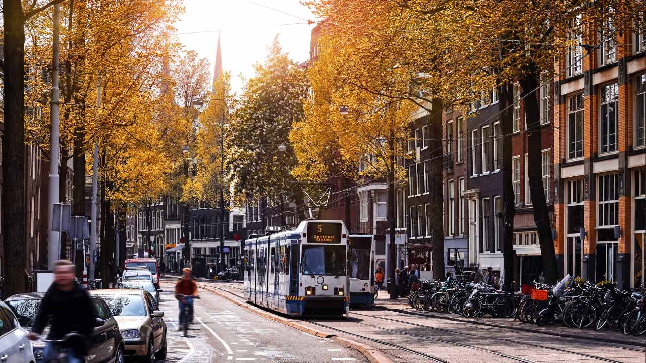 A tram on an Amsterdam street with a bicyclist riding by in autumn. 