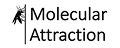 molecular attraction