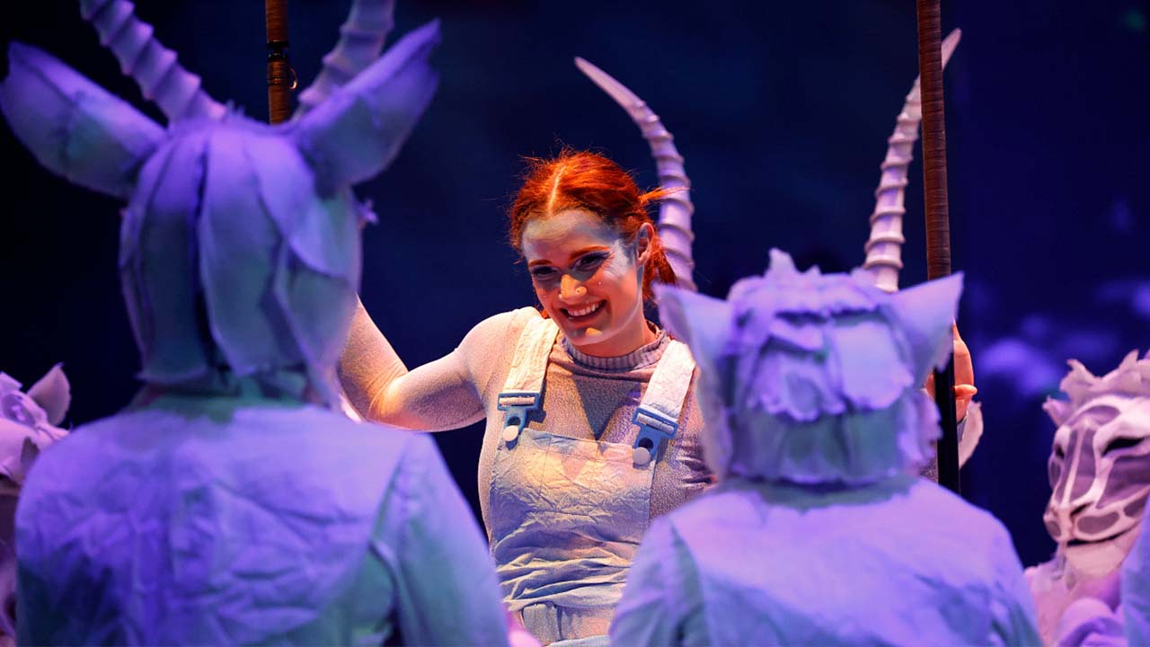 Cirque du Soleil performers.