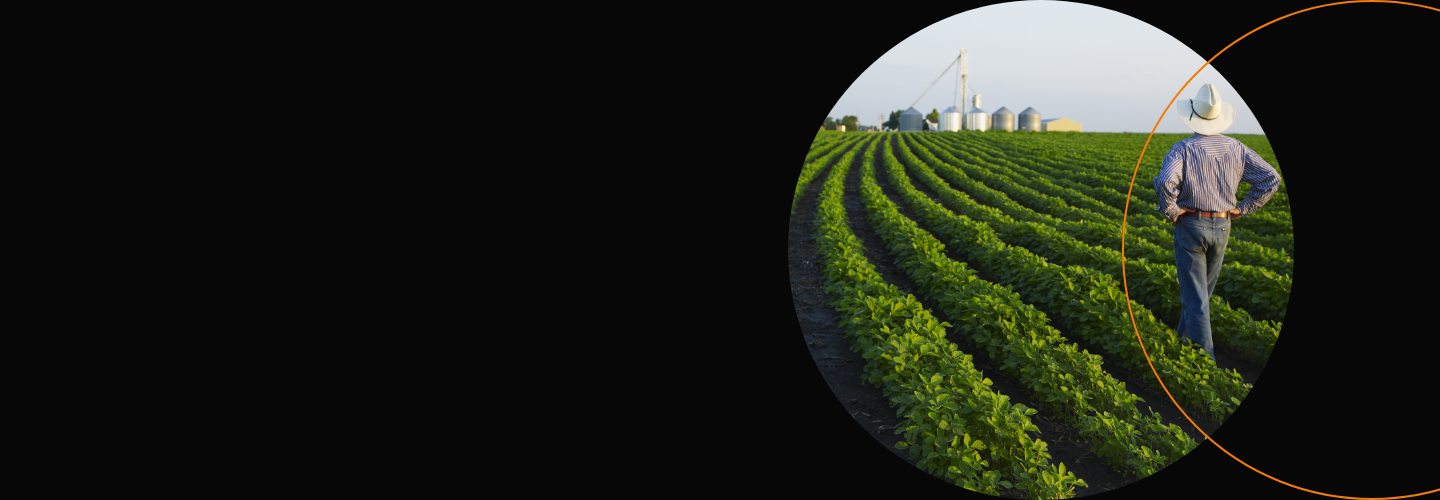 Farmer standing in field
