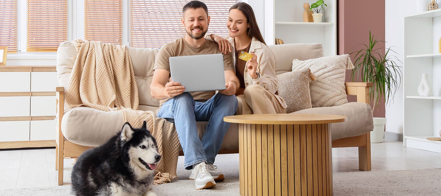 Couple with a dog in their living room shopping together